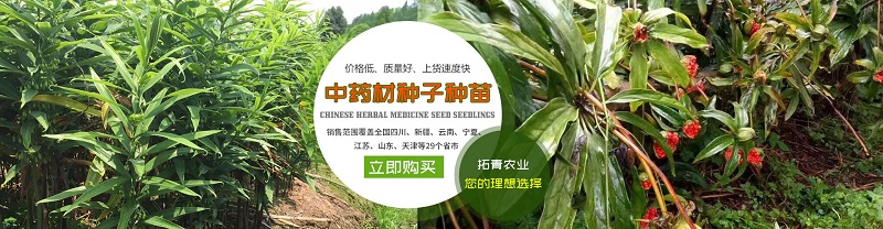 幻灯管理一
